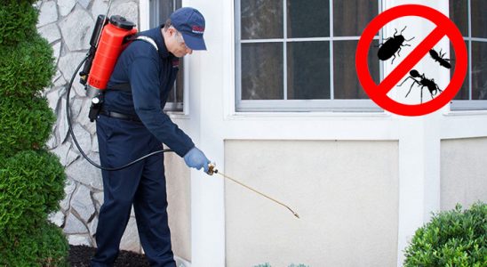 Araklı Haşere İlaçlama böcek ilaçlama ve haşere kontrolü — ilaclama-tr.com